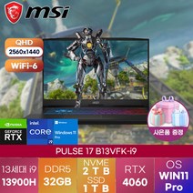 MSI 노트북 PULSE 17 B13VFK-i9 WIN11 PRO 펄스 게이밍 노트북, 32GB, 3TB, 코어i9, 블랙