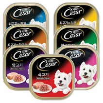 시저 7종혼합100gx24개, 20박스