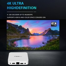 미디어박스 미디소프트 영상재생 미디어플레이어 T95mini 스마트 TV 박스 안드로이드 10.0 쿼드 코어 2.4GH, 02 Eu 플러그_01 2G 16G