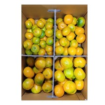 [10월4일 예약무료발송]제주 서귀포 노지감귤 5kg 중과, 감귤 중대과 5kg(30개 내외)