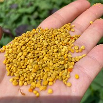 [GB] 소백산 청정지역 천연100% 꿀벌화분, 벌화분 1kg