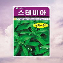 스테비아씨앗 50립 스테비아씨 허브씨 아람종묘