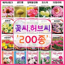 꽃씨 200종 꽃씨앗 꽃씨몰 다년생 월동 꽃 씨앗 세트 야생화 종자 / 코스모스 국화 제라늄 구절초 겹접시꽃 버들마편초 금어초 양귀비씨앗 메리골드 스토크 금어초 네모필라 꽃잔디, 162. 노랑민들레 1000립, 1개