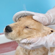강아지 빗 고양이 애완동물 목욕솔장갑 애견스파, 단품, 단품
