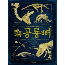 뼈로 푸는 과학 공룡뼈 - 롭 콜슨, 단품, 단품