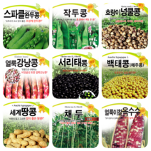 콩 옥수수 씨앗 강낭콩 작두콩 서리태 호랑이콩 종자 백태 땅콩 율무 녹두 팥 완두콩 씨, 15. 스파클완두콩 40g
