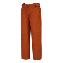 GOLDWIN 팀복데모복 W ALPINE PANTS_GP6NI82 BRS