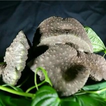 에코농원 농장직송 열매마 넝쿨마 하늘마 생마 산마 참마 효능 열매마잎), 1통, 2kg