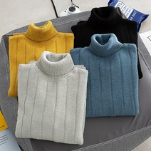 일본계 폴라 스웨터 남자 심플 코디 가을 겨울 실 남 한국판 겨울 니트