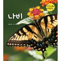 나비, 그린키즈