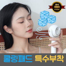 바이홈 휴대용 손 선풍기 손풍기, 화이트