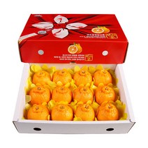 농장직송 고당도 한라봉 3kg 5kg 10kg 꼬마한라봉, 1박스, 한라봉 3kg 중(11~13과)