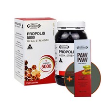 마더네스트 호주 프로폴리스5000 250캡슐 고함량 호주산프로폴리스 + 1개구매마다 포포크림30g, 1개