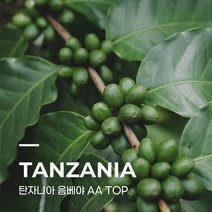 [커피생두] 탄자니아 음베야 AA TOP 5kg