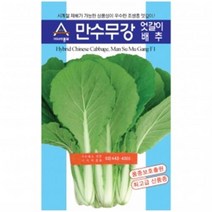 아시아종묘 배추씨앗 만수무강 엇갈이 배추(20g)