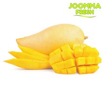 [항공직수입] 태국 골드 망고 1kg 2kg 4kg 5kg 선물세트, 태국망고 10-16과 5kg