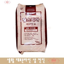 아펜핀셔 어린자견 고단백 고지방 성장사료 스피츠