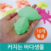 커지는 장난감 바다생물 어린이 완구 10P 이해 준비물 과학 관찰 실험 돌봄 탐구