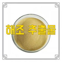 소율국제 해조 고농축 추출물 분말, 10:1, 500g, 1개