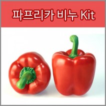 허브플로라 MP 비누만들기 키트, 파프리카 비누 키트
