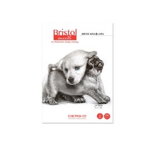 세르지오 브리스톨 스무스 스케치북 250g 1면제본, 27cmx35cm (CE006-05F)