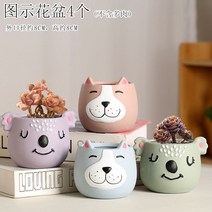 다육화분 다육이 심폴 화분 식물 미니 화분세트, 도자기, 옵션13