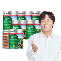 내츄럴플러스 100% 대두 레시틴 60캡슐 / 식물성 인지질60% 콜레스테롤 개선, 6박스(12개월분), 60정