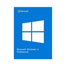 MS Windows 11 Pro GGWA 기업용 라이선스 영구사용, 단품