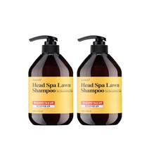 탈모 방지 케어 샴푸 헤드스파 중건성용 두피 효모 기능성 1+1, 중건성용 500ml + 500ml (2병)