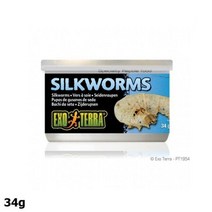 뉴런랩타일 JUW82CE28 누에 파충류먹이 34g 파충류용품 통조림 캔 엑소테라 파충류사료, 영도매 1, CC  본상품선택