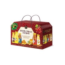 몸에좋은 음양오행 건강음료 세트, 180ml, 20병