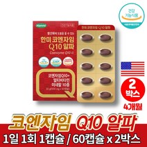 약국 리얼 나노 코큐텐 플러스 아연 유비퀴논 코쿠텐 coq10 프리미엄 코엔자임 코엠자이 큐텐 캡슐 혈압 영양제 판토텐산 엽산 나이아신, 2박스