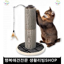 고양이펫샵 고양이용품 고양이기르기 고양이스크래쳐 새끼고양이키우기