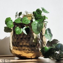 식물시간 jid gold vase potcover 원형 금색 알루미늄 화분 커버, L