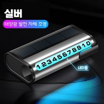 야광 차량 주차 번호판 임시주차번호판, 주차번호판 실버, 1개