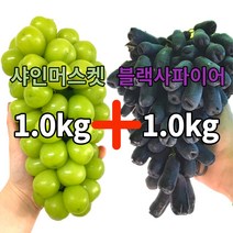 샤인머스켓+블랙사파이어 혼합 2.0kg, 샤인머스켓1수1kg +블랙사파이어 1kg