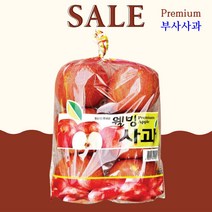 고산지 당도선별 햇 부사 꿀사과 1봉지(6입) 1.5kg내외, 1개, 1.5kg내외(6입)