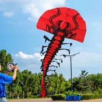 패러글라이딩장비무료 배송 지네 연 비행 성인 뱀 무지개 전문 파라 모터 패러 글라이딩 큰, 01 750cm