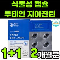 지아잔틴 제아잔틴 ZEAXANTHIN 뉴테인 LUTEIN 루테린 마리골드 금잔화 메리골드 꽃 빌베리 추출물 비타민 A E 식물성 캡슐 부모님 눈 안구 건강 노안 노화 영양제 추천, 2박스(2개월분)