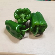 국내산 청피망 특 10kg 5kg 백산상회, 1박스, 5lg 이내