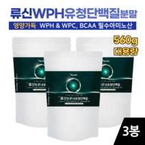 에너데이 류신단백질 560g 분리유청단백질 분말 가루 로이신 뉴신 유신 루신 BCAA 보충제 노인영양식, 3봉