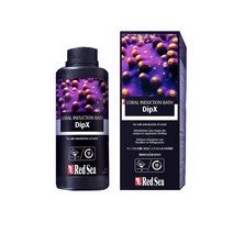 레드씨 딥엑스 산호검역제[100ml], 단품