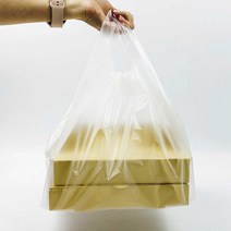 포장대장 피자비닐봉투 특대 11~13인치 100매 양날개형 HDPE 배달포장비닐봉지, 피자비닐봉투 (특대/11~13인치)