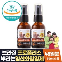 목에좋은음식 수용성 브라질 프로폴리스스프레이 2통 식약처인증 폴리폴리스 목에좋은 선물 원액