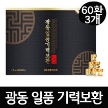 광동 녹용 홍삼 일품기력보환 개별포장 쇼핑백 제공, 3개, 60환