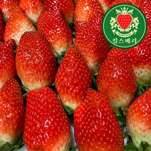 대왕딸기 킹스베리 복숭아향 고당도 딸기 논산 산지직송 당일수확발송, 1팩(400g~450g)
