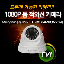 EGS-TVI1224JSNIR 올인원CCTV 실내 돔카메라, CCTV