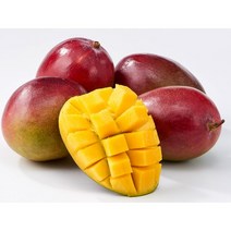 [노말테이블]항공직송 페루 프리미엄 켄트 애플망고, 4kg(8~10과), 1개