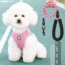 Daegu 조끼식 강아지 견인줄 소형견 비숑 푸들 테디보미 강아지 애완동물 가슴 멜빵 산책개 견인줄 + 끈 1.5MGYF082409, 핑크세트
