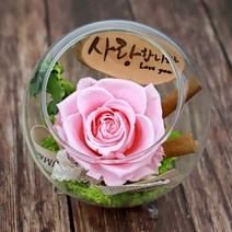 [바보사랑] 시들지않는 꽃 한송이 장미 유리병 프리저브드, 색상선택:한송이장미유리볼(레드) / 픽선택:감사합니다